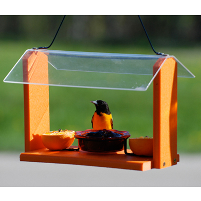 BIRDFEEDER, GOING GREEN ORIOLE