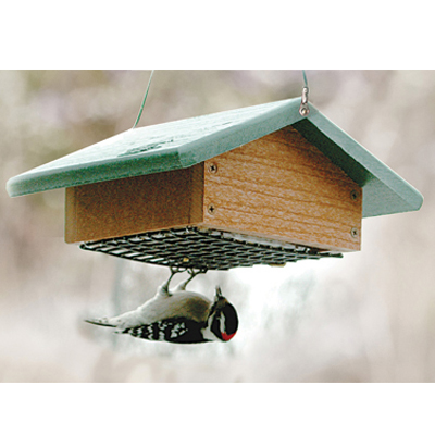 BIRDFEEDER, GOING GRN SUET