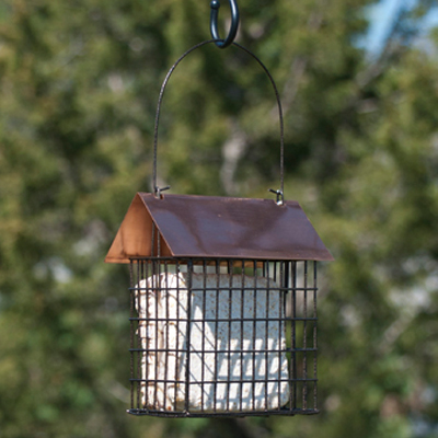 BIRDFEEDER, DBL SUET COPPERTOP