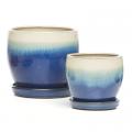 Nicola Petit White & Blue Pot