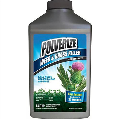 WEED/GRASS KILLER ALL NATURAL QT