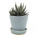 POT, TIKA NEW GREY  3"