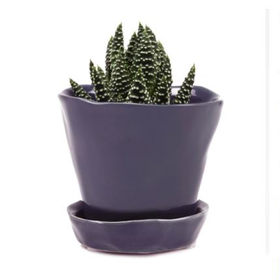 POT, TIKA ULTRA VIOLET  3"