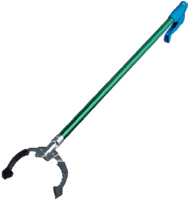 YARD CLEAN UP