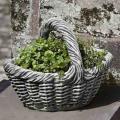 BASKET, SMALL W/ HANDLE 24#