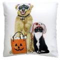 Dog & Cat Trick or Treat Pillow