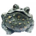 TOAD, 10.5" NATURAL GREEN XL