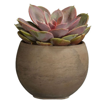 CLAY POT, LUNA DARK BASALT 6.4"