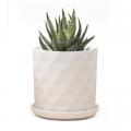 PLANTER, VIRAGO WHITE F