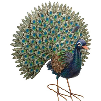 PEACOCK PRIDE