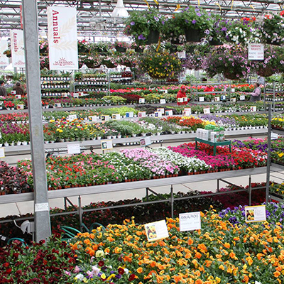 ANNUALS, HERBS &amp; VEGETABLES