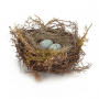 NEST, ROBIN LARGE W/EGGS 7"