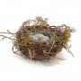 NEST, ROBIN SMALL WITH EGGS 5"