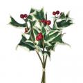 Variegated Holly Sprig Bundle