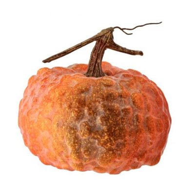 Orange Hybrid Pumpkin