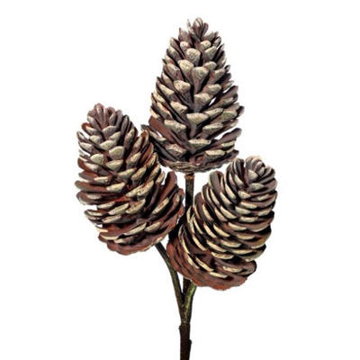 Pine Cone Pick