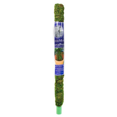 2' MOSS POLE