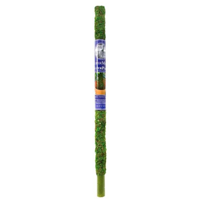 30" MOSS POLE