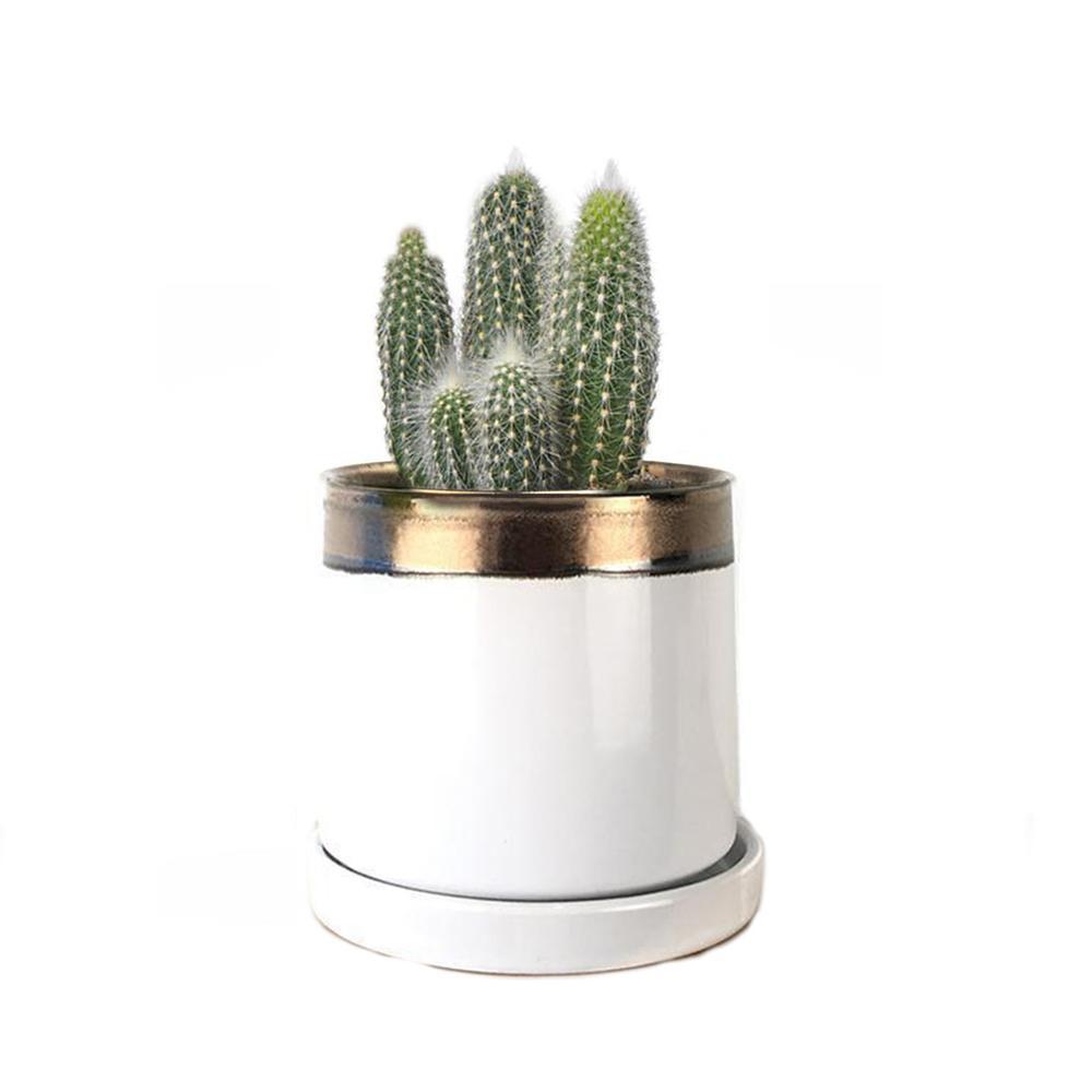 POT, SMALL MINUTE 2 BRONZE/WHITE