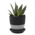 POT, DYAD W/SAUCER BLACK 3.25"