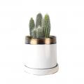 POT, SMALL MINUTE 2 BRONZE/WHITE