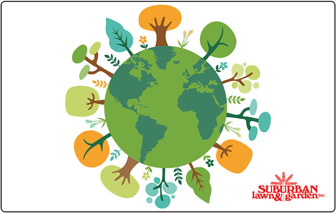 Earth E-Gift Card