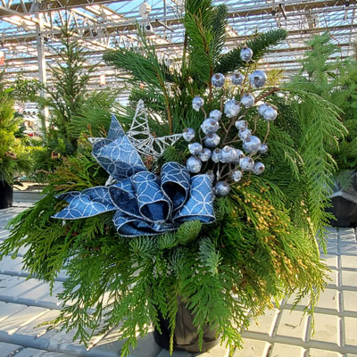 CHRISTMAS GREENERY POTS