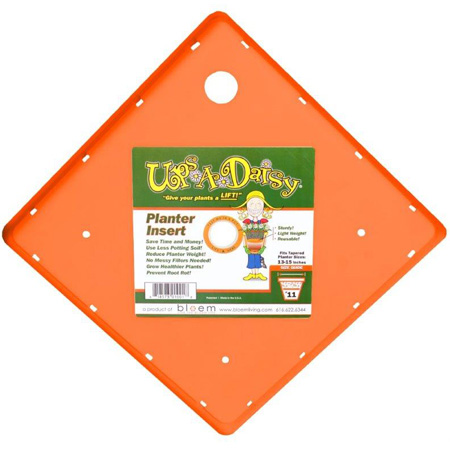 UPS-A-DAISY, SQUARE 13"