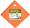 UPS-A-DAISY, SQUARE 11"