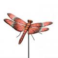 STAKE, 36" DRAGONFLY MEADOWHAWK