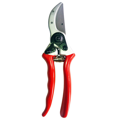 PRUNER, PROFESSIONAL 1"