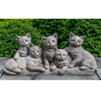 CAT, QUINTUPLETS  63#