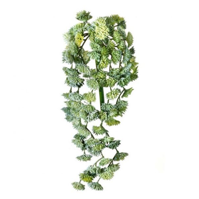 PICK, 10"HANGING SEDUM FR GREEN