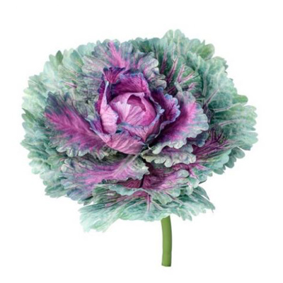 PICK, 7.25" KALE PURPLE/GREEN