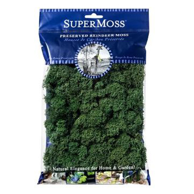 Chartreuse Reindeer Moss, 80.75 cu