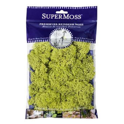 REINDEER MOSS, CHARTREUSE 80.75