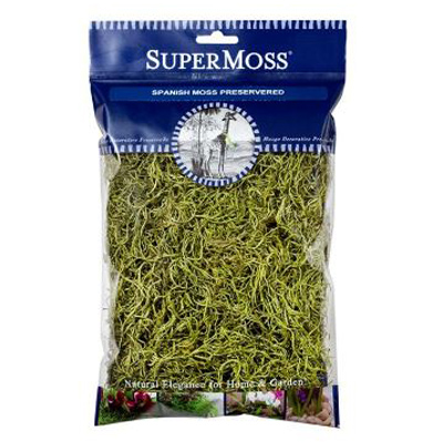 Chartreuse Spanish Moss, 80.75 cu