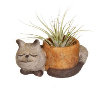 PLANTER, BABY SLEEPING KITTY 2.5