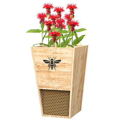 Mason Bee House & Planter