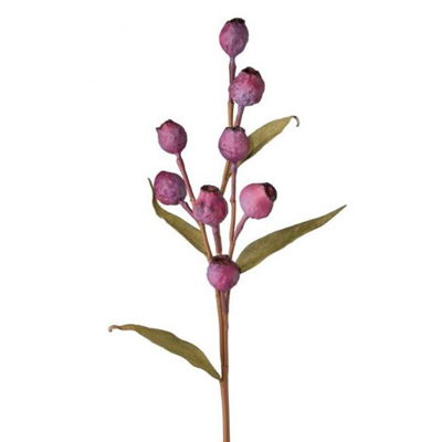 Eucalyptus Pod Plum Spray, 25"