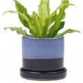 POT,  MINUTE COBALT BLUE 8"