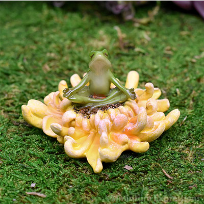 FROG MEDITATING ON SUNFLOWER