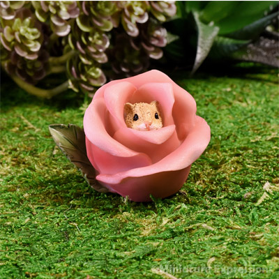 HAMSTER IN ROSE