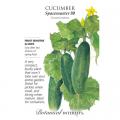 CUCUMBER SPACEMASTER