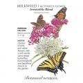 MILKWEED IRRESISTIBLE BLEND