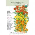 MARIGOLD SIGNET GEM BLEND ORG