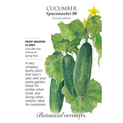 CUCUMBER SPACEMASTER