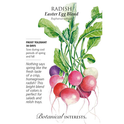 RADISH EASTER EGG BLEND