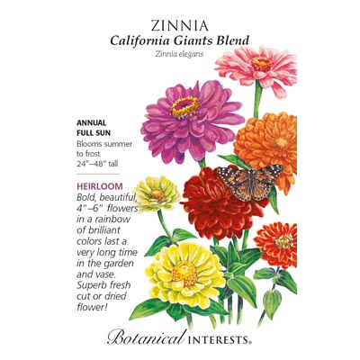 ZINNIA CALIFORNIA GIANTS