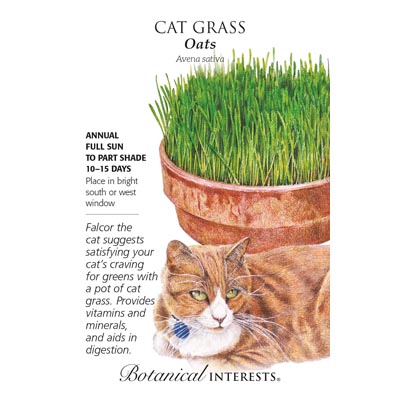 CAT GRASS